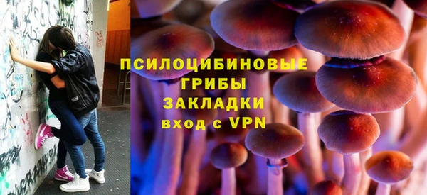 mdpv Пересвет