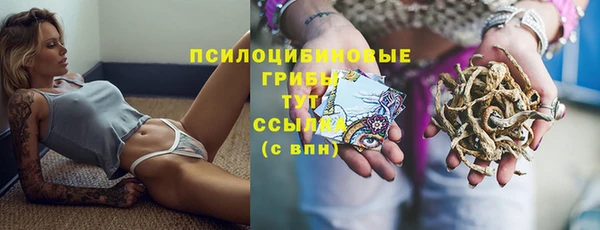 mdpv Пересвет