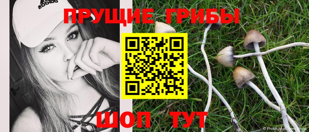 Сокол  Псилоцибиновые грибы ЛСД  Вход с VPN 