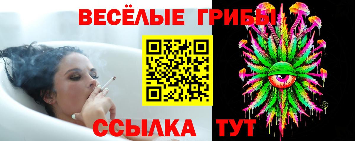 Псилоцибиновые грибы мухоморы Сокол