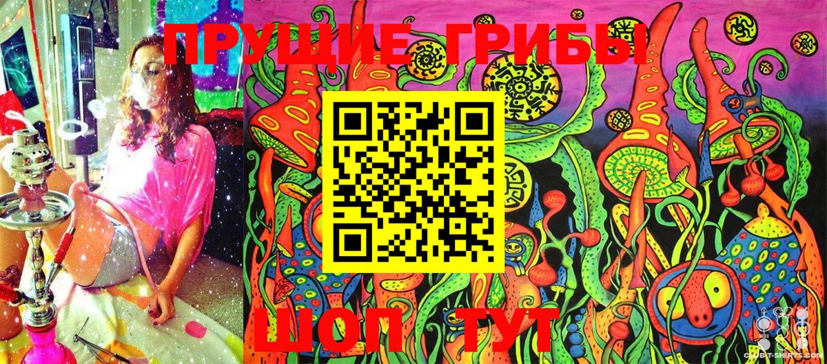 Галлюциногенные грибы Psilocybe Сокол