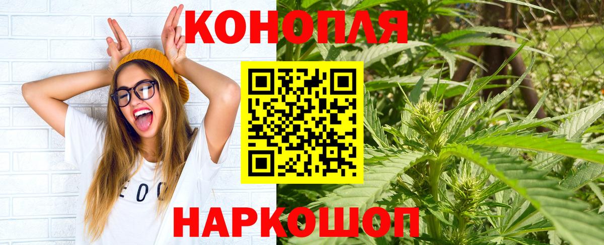 Сокол  Конопля сатива  Канабис планчик  Вход с VPN 